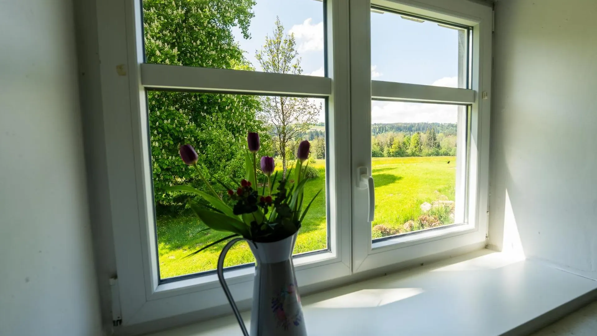 Mit Blick Auf Bergwiesen - Familienfreundliches Bauernhaus Im Westallgaeu Weiler-Simmerberg Germany